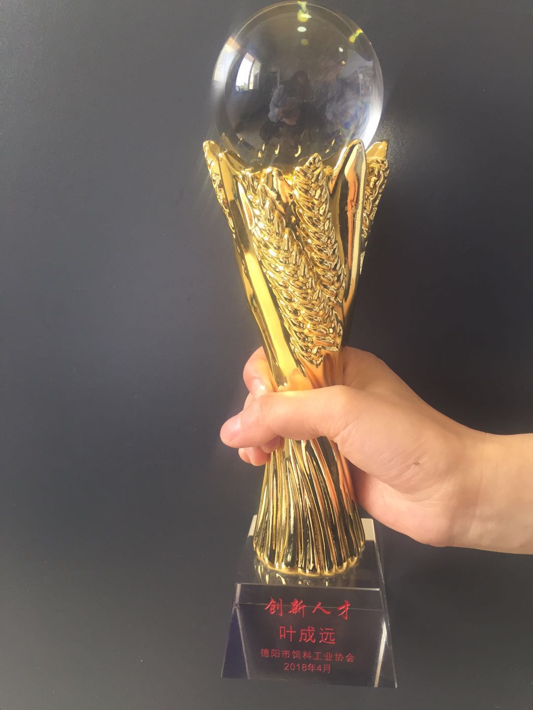 德陽(yáng)創(chuàng)新技術(shù)人才獎(jiǎng)杯.jpg