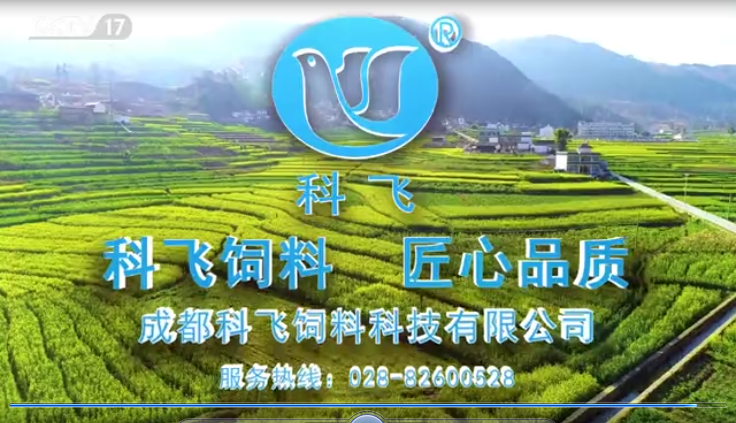 1576482872(1).png 1576482872(1).png